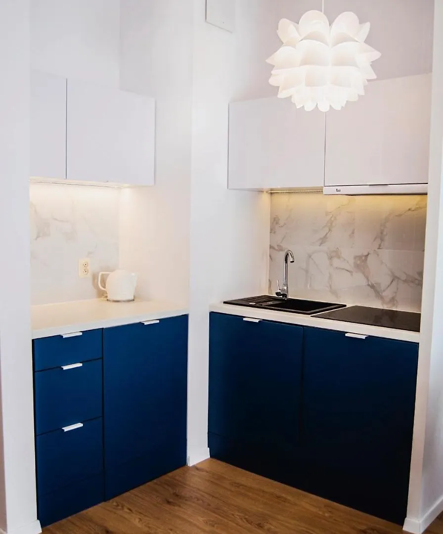 Apartamenty Rakowicka WAWELOFTS Kraków